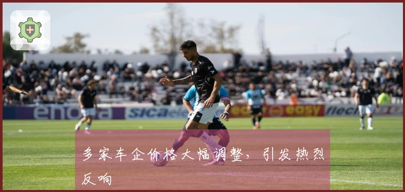多家车企价格大幅调整，引发热烈反响