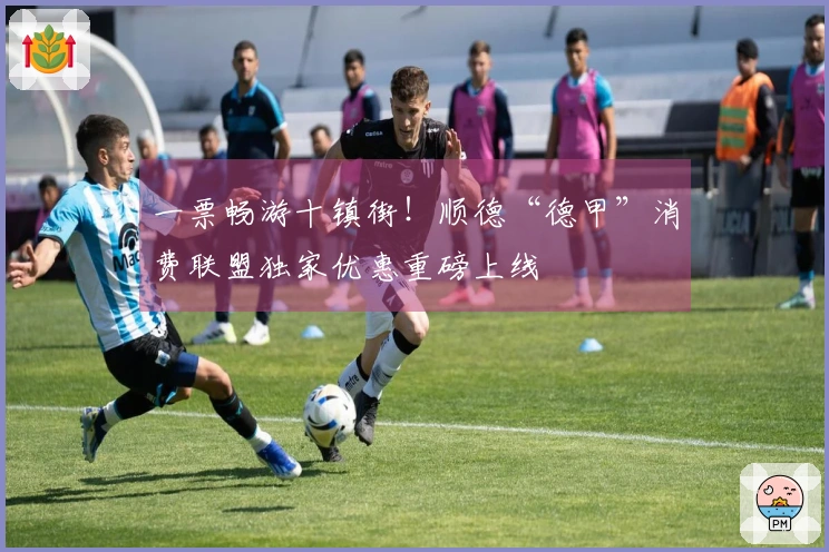 一票畅游十镇街！顺德“德甲”消费联盟独家优惠重磅上线