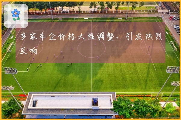多家车企价格大幅调整，引发热烈反响